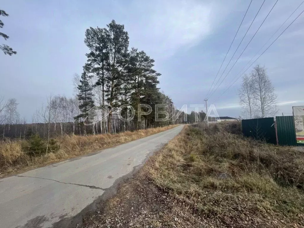 Участок в Тюменская область, Нижнетавдинский район, Геолог-2 СНТ  (5.0 ... - Фото 1