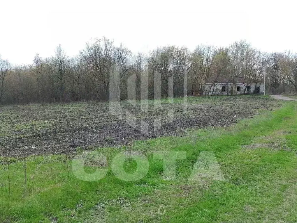 Участок в Воронежская область, Новоусманский район, ... - Фото 2