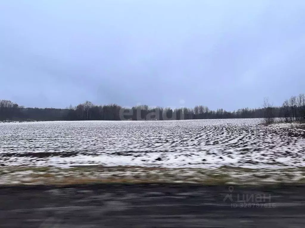 Участок в Ярославская область, Ярославский муниципальный округ, ... - Фото 1