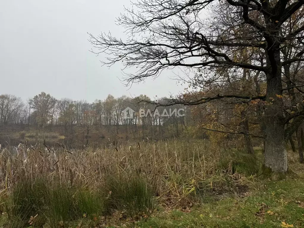 Участок в Калининградская область, Зеленоградский муниципальный округ, ... - Фото 0