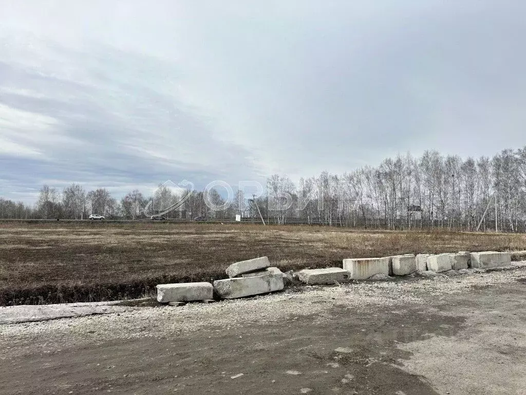 Участок в Тюменская область, Тюменский район, с. Луговое Плодовая ул. ... - Фото 0