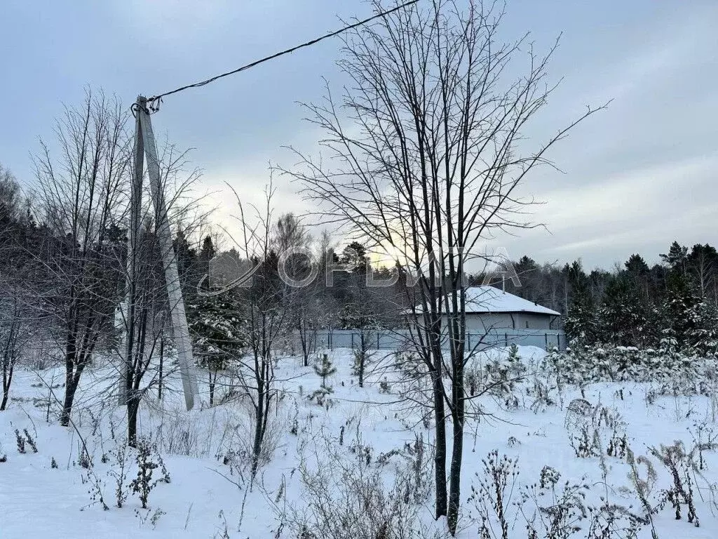 Участок в Тюменская область, Тюменский район, д. Ушакова  (6.2 сот.) - Фото 0