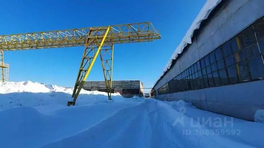 Помещение свободного назначения в Нижегородская область, Нижний ... - Фото 0