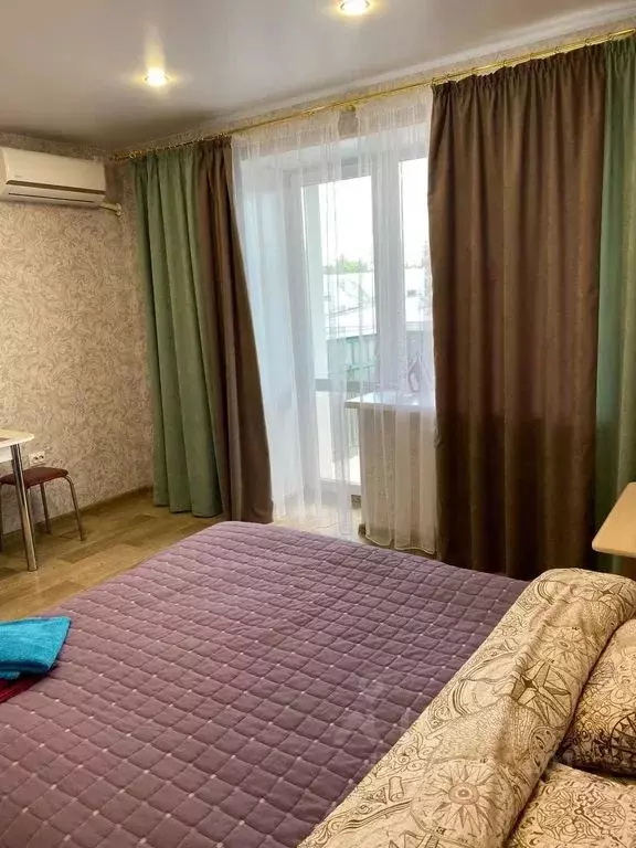 1-к кв. Еврейская автономная область, Биробиджан ул. Шолом-Алейхема, ... - Фото 2