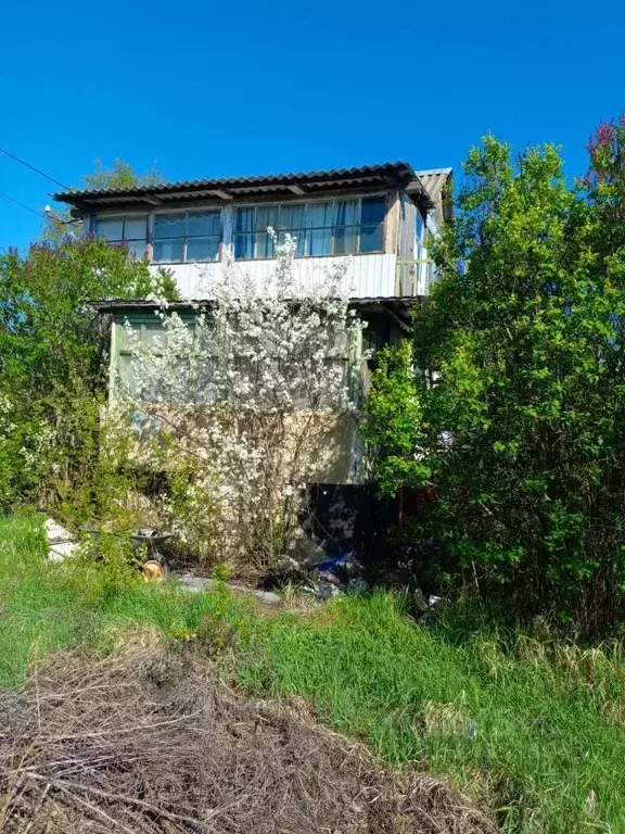 Дом в Саратовская область, Саратов Латухино СНТ,  (70 м) - Фото 0