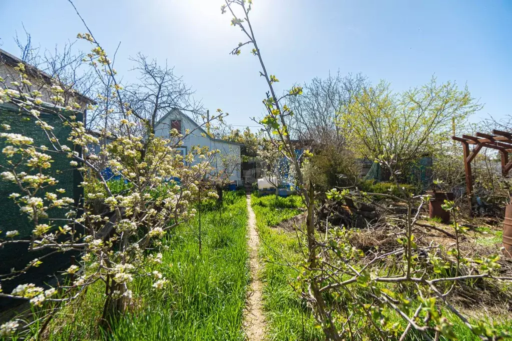 Участок в Севастополь Скиф садоводческое товарищество, 237 (4.0 сот.) - Фото 0