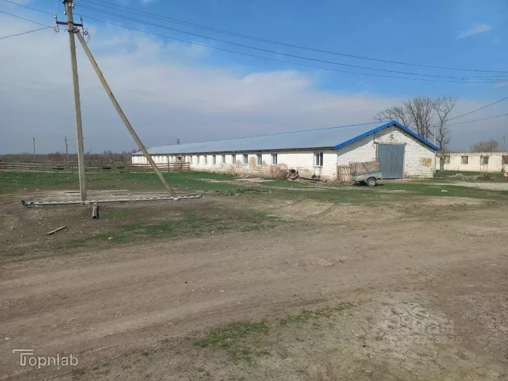 Помещение свободного назначения в Кабардино-Балкария, Прохладненский ... - Фото 2