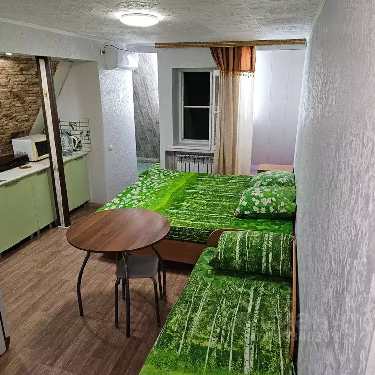 1-к кв. Волгоградская область, Дубовка Республиканская ул., 28А (32.0 ... - Фото 0