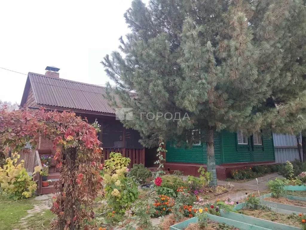 Дом в Новосибирская область, Новосибирск Березка садовое товарищество, ... - Фото 1