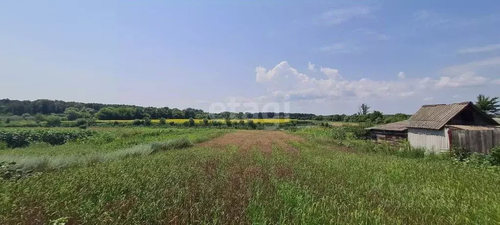 Участок в Белгородская область, Новооскольский муниципальный округ, с. ... - Фото 1