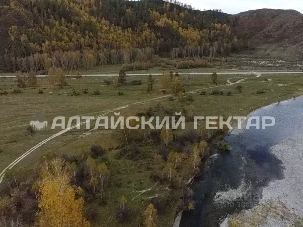 Участок в Алтай, Усть-Коксинский район, с. Верх-Уймон Центральная ул., ... - Фото 0