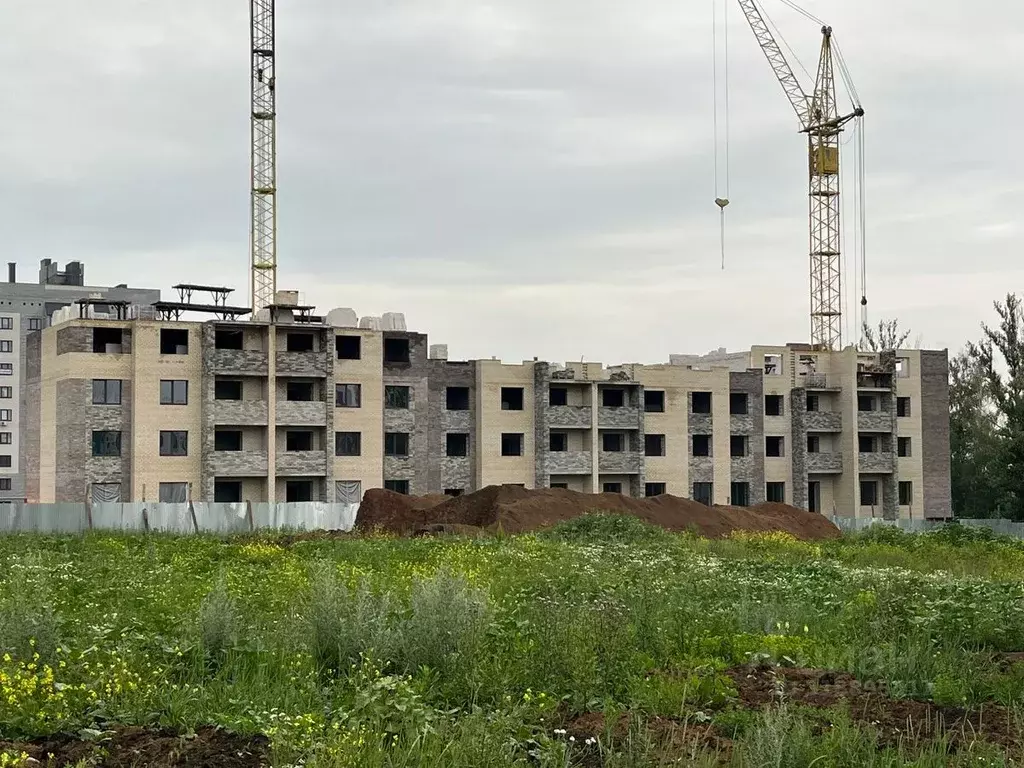 1-к кв. Тамбовская область, Тамбов ул. Имени Павла Строганова, 3Б ... - Фото 1