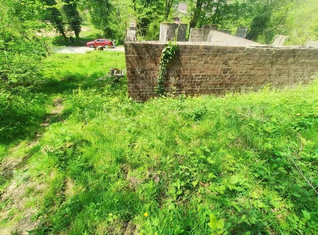 Участок в Краснодарский край, Сочи городской округ, с. Орел-Изумруд ... - Фото 2