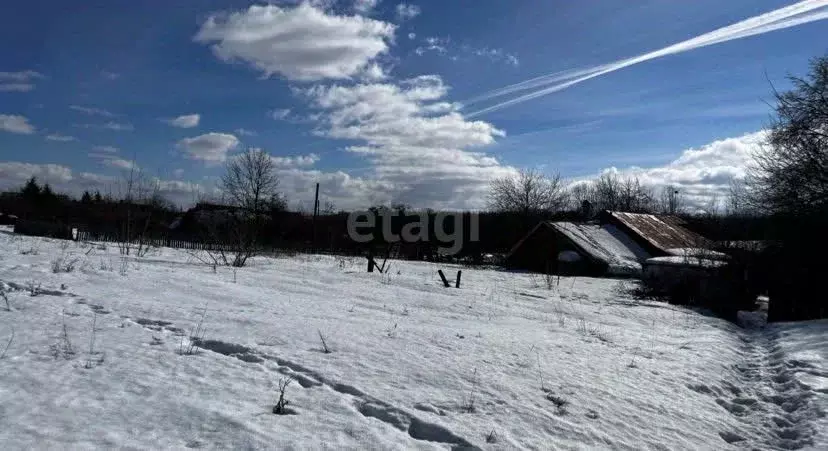 Дом в Нижегородская область, Богородский район, с. Доскино Центральная ... - Фото 1