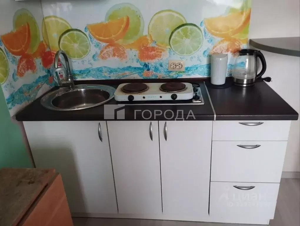1-к кв. Новосибирская область, Новосибирск ул. Фадеева, 66/8 (24.0 м) - Фото 0