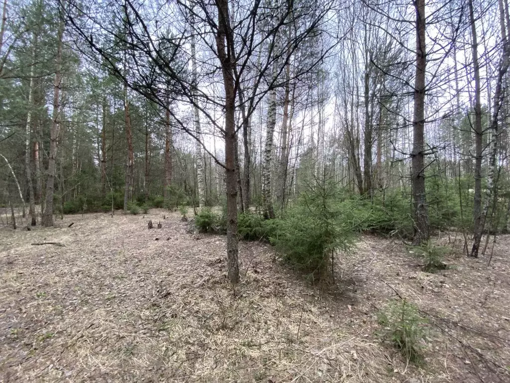 Участок в Московская область, Раменский городской округ, д. Дементьево ... - Фото 1