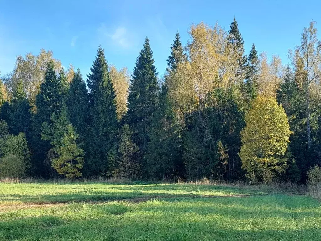 Участок в Московская область, Мытищи городской округ, пос. Трудовая ... - Фото 1
