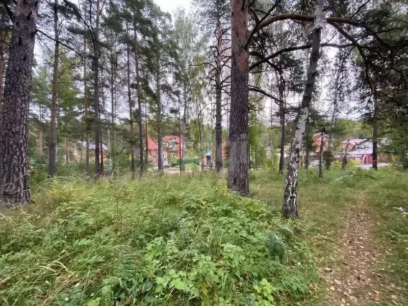 Участок 4 сот. (личное подсобное хозяйство (лпх)) - Фото 0