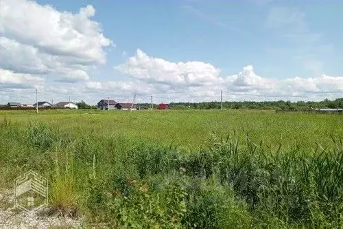 Участок в Новгородская область, Новгородский район, Савинское с/пос, ... - Фото 0