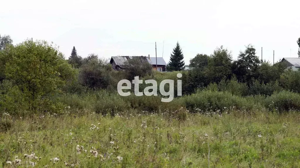 Участок в Свердловская область, Тугулымский муниципальный округ, с. ... - Фото 0