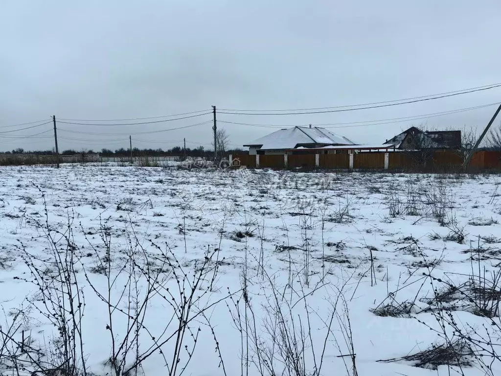 Участок в Волгоградская область, Среднеахтубинский район, Фрунзенское ... - Фото 1