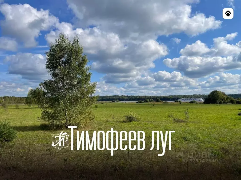 Участок в Владимирская область, Александровский муниципальный округ, ... - Фото 1
