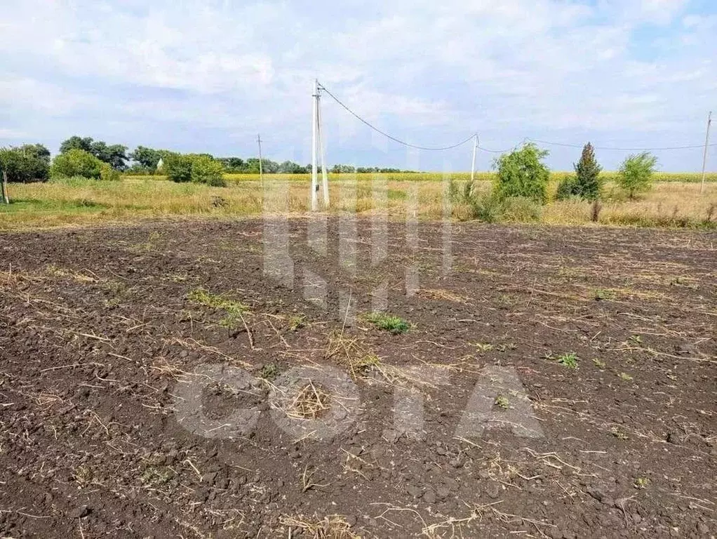 Участок в Воронежская область, Новоусманский район, с. Рогачевка ул. ... - Фото 1