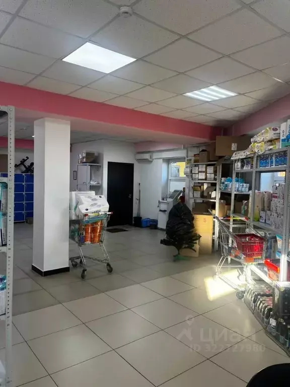 Помещение свободного назначения в Адыгея, Майкоп Пролетарская ул., 274 ... - Фото 2