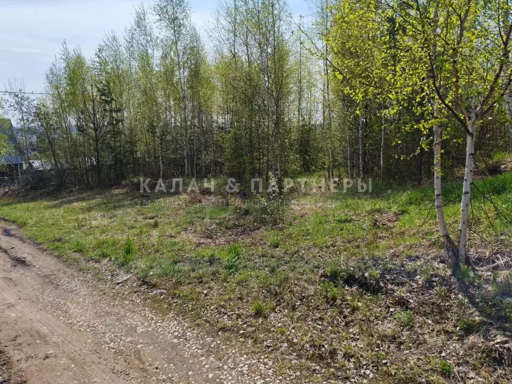 Участок в Свердловская область, Полевской Территория Западный ... - Фото 1