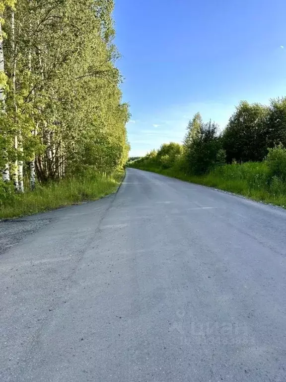 Участок в Нижегородская область, Богородский муниципальный округ, д. ... - Фото 1