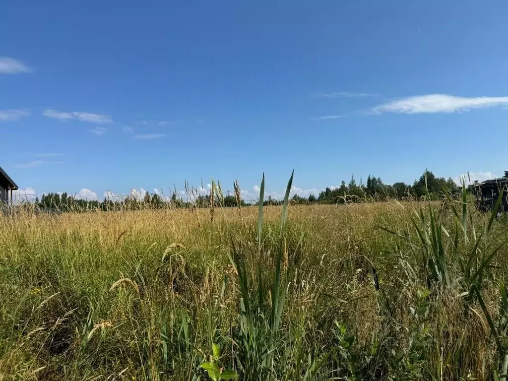 Участок в Ленинградская область, Ломоносовский район, Низинское с/пос, ... - Фото 2