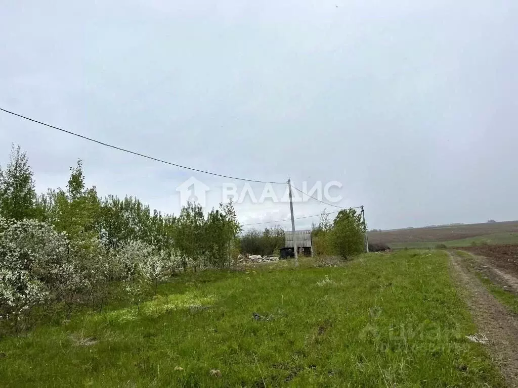 Участок в Владимирская область, Суздальский район, Новоалександровское ... - Фото 1