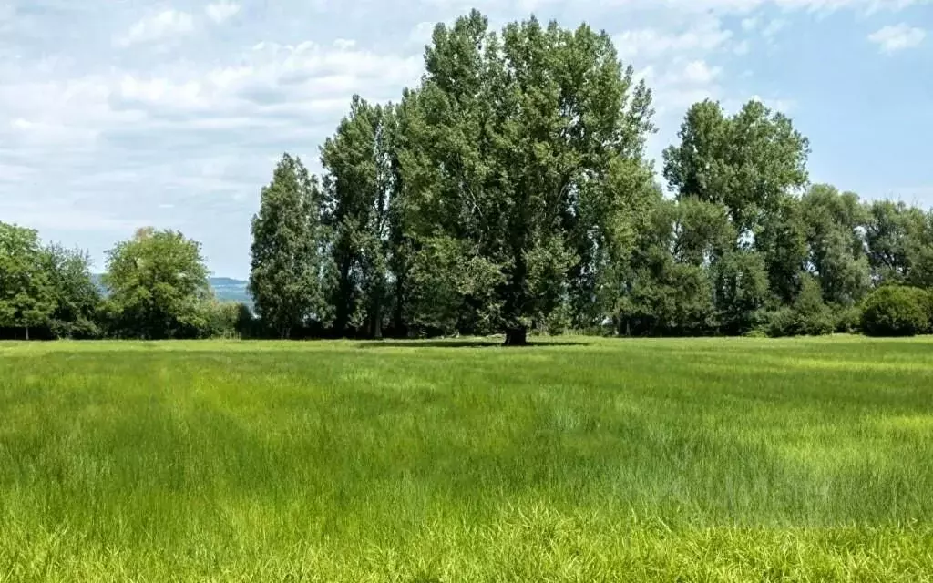 Участок в Московская область, Одинцовский городской округ, д. ... - Фото 1