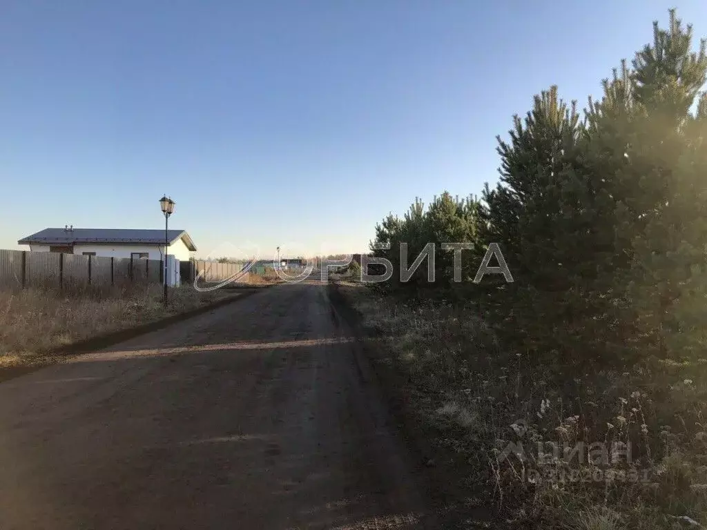 Участок в Тюменская область, Тюменский район, Новокаменский кп ул. ... - Фото 1