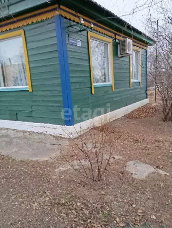 Дом в Амурская область, Тамбовский муниципальный округ, с. Николаевка ... - Фото 1