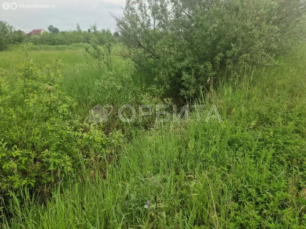 Участок в Тюменский район, село Мальково (31 м) - Фото 1