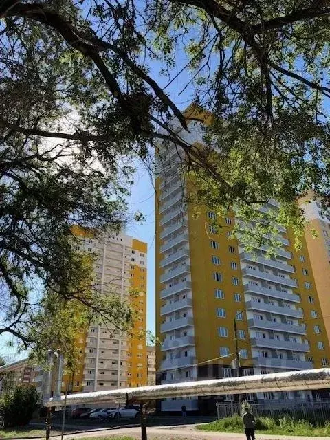 Студия Саратовская область, Саратов проезд 2-й Совхозный, 36к1 (25.2 ... - Фото 0