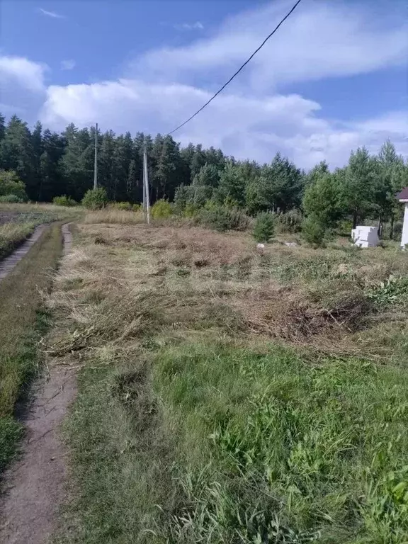 Участок в Алтайский край, Барнаул городской округ, пос. Черницк ул. ... - Фото 1