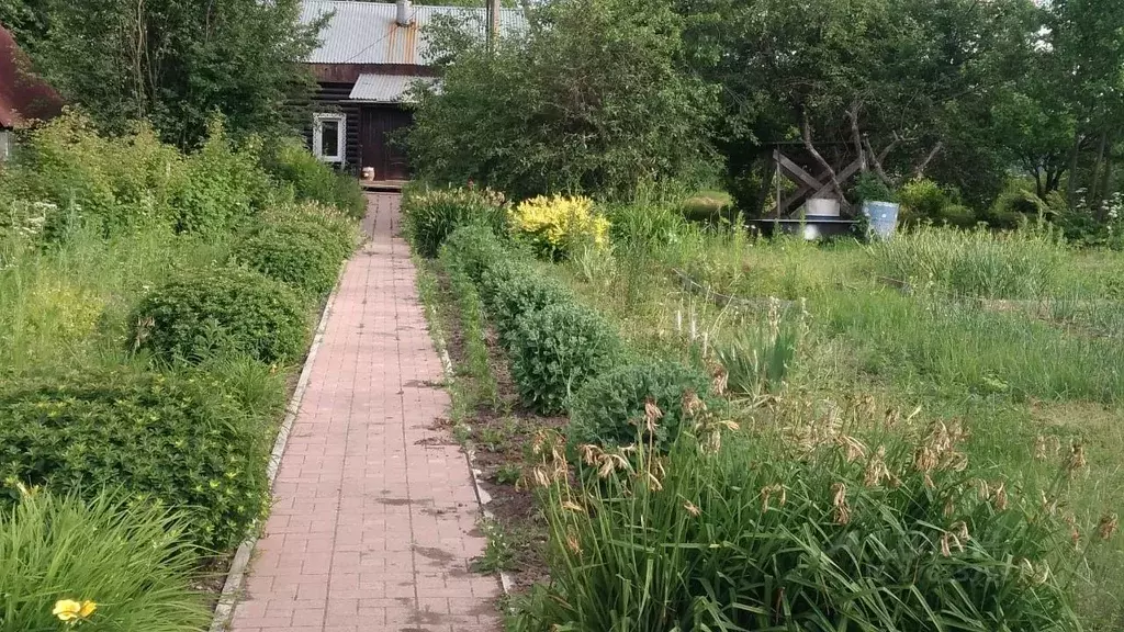 Посёлок орешково. Деревня орешково московская область. Посёлок орешково. Снт крылатское. Деревня орешково.