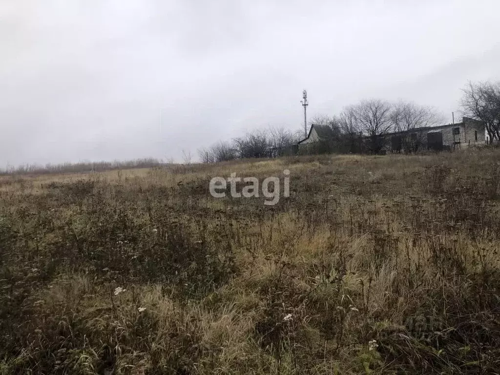 Участок в Белгородская область, Строитель Яковлевский городской округ, ... - Фото 0