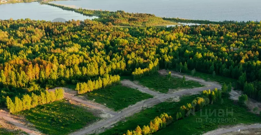 Участок в Ленинградская область, Всеволожский район, Лесколовское ... - Фото 0