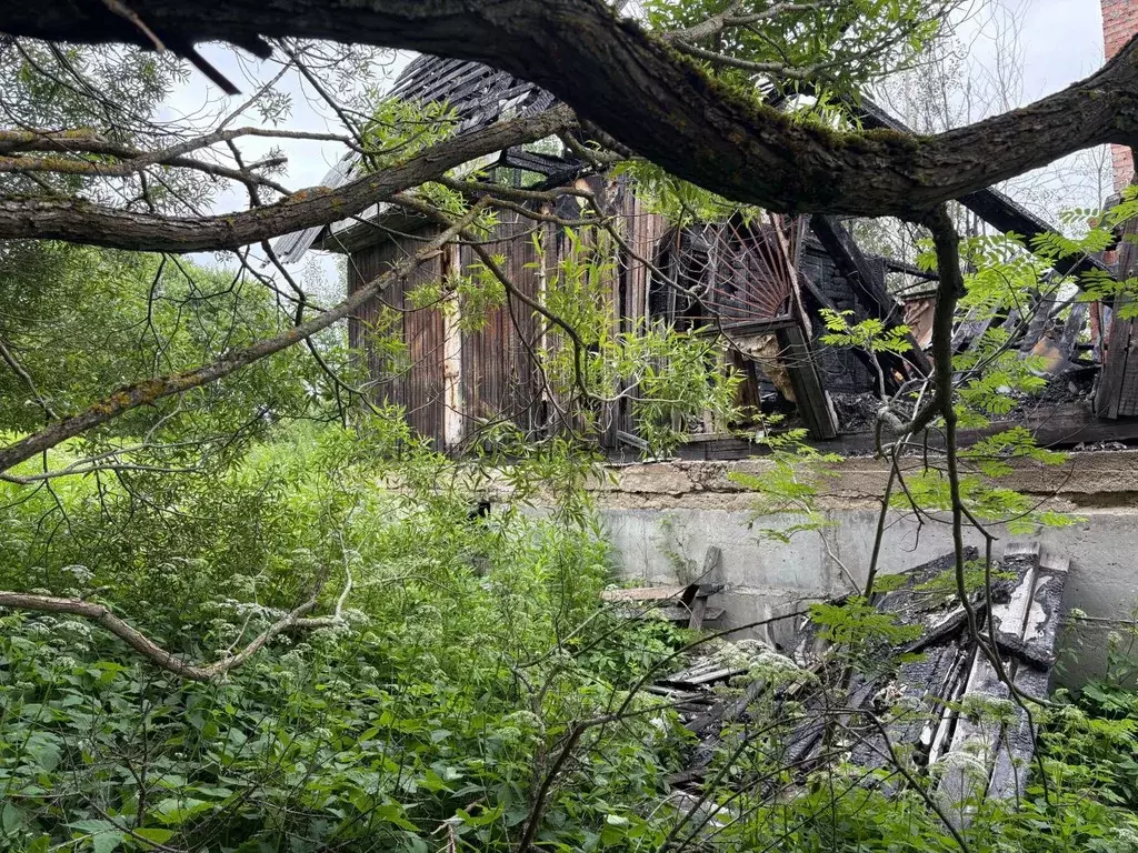 Участок в Ленинградская область, Приозерский район, Сосновское с/пос, ... - Фото 2
