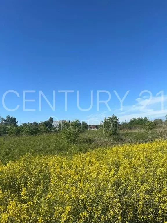 Участок в Калининградская область, Гурьевский муниципальный округ, ... - Фото 2