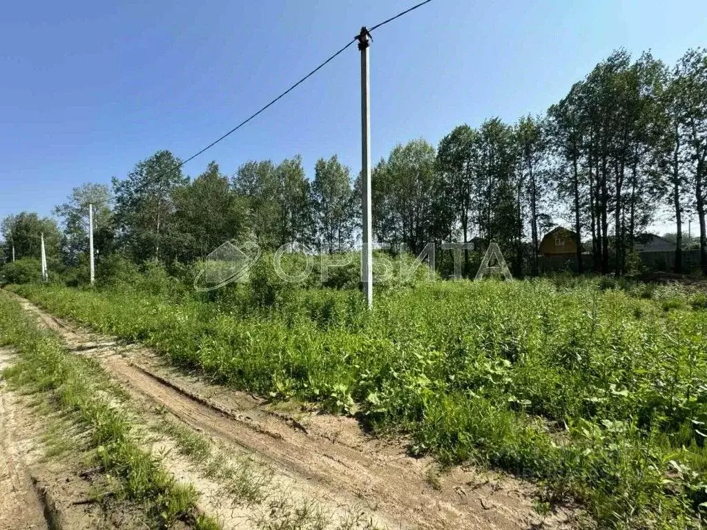 Участок в Тюменская область, Тюменский район, д. Зырянка  (7.19 сот.) - Фото 1