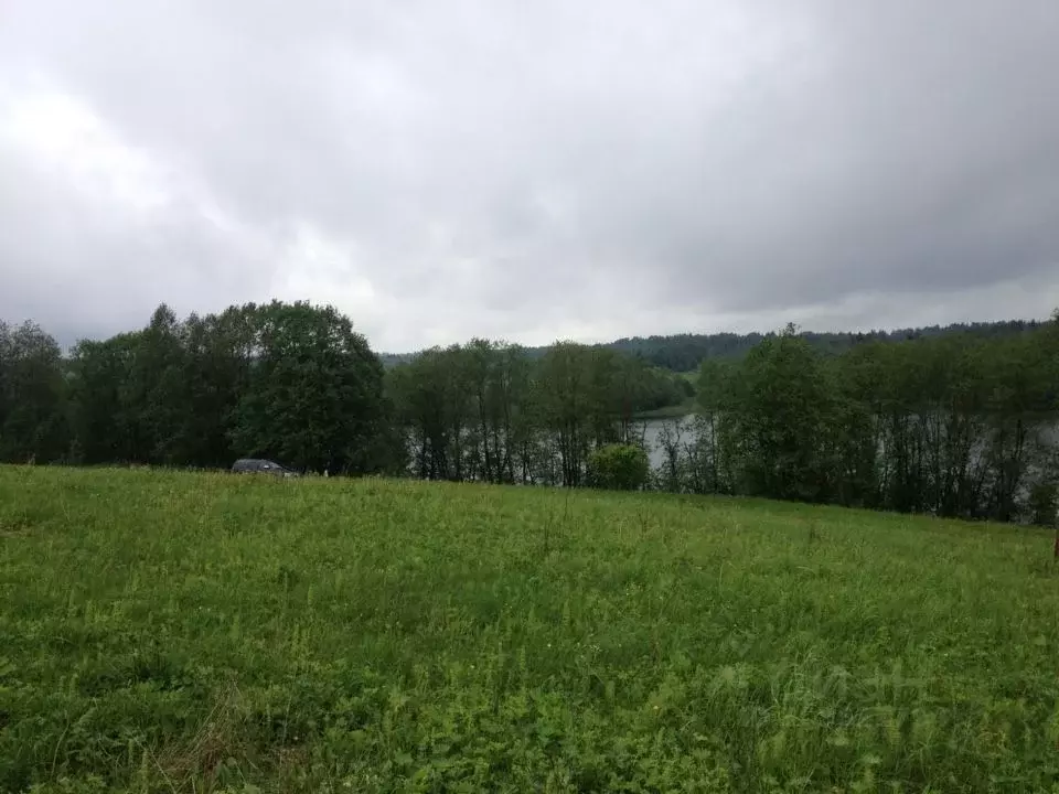 Участок в Новгородская область, Демянский муниципальный округ, д. ... - Фото 1