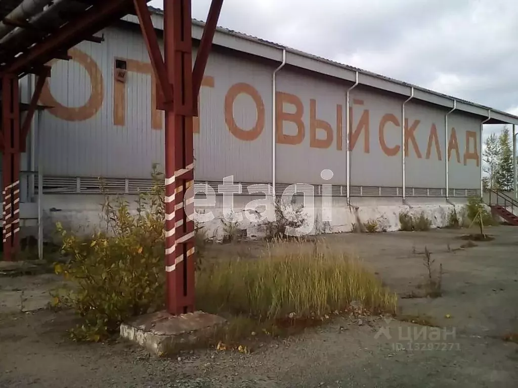 Склад в Свердловская область, Нижний Тагил Краснознаменная ул., 132 ... - Фото 1