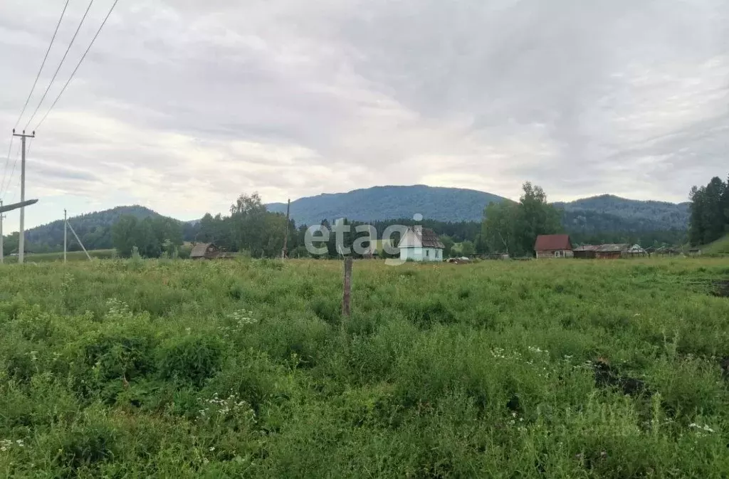 Участок в Алтай, Чойский район, с. Салганда  (25.0 сот.) - Фото 1