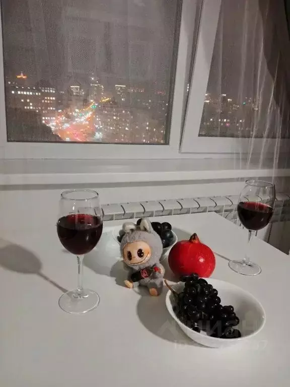 1-к кв. Новосибирская область, Новосибирск Железнодорожная ул., 15 ... - Фото 1