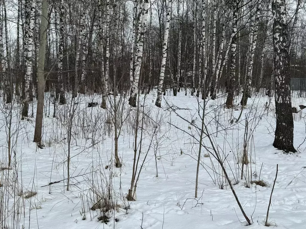 Участок в Московская область, Богородский городской округ, имени ... - Фото 1
