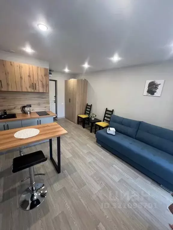 Студия Татарстан, Казань Меридианная ул., 30 (24.0 м) - Фото 1